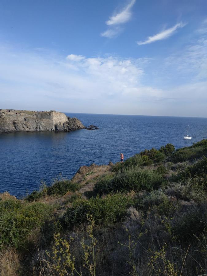 Port Heaven, A Deux Pas Du Port, Grand Balcon Διαμέρισμα Port Vendres Εξωτερικό φωτογραφία